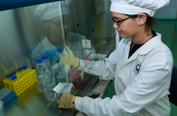Unichem's R&D activities
